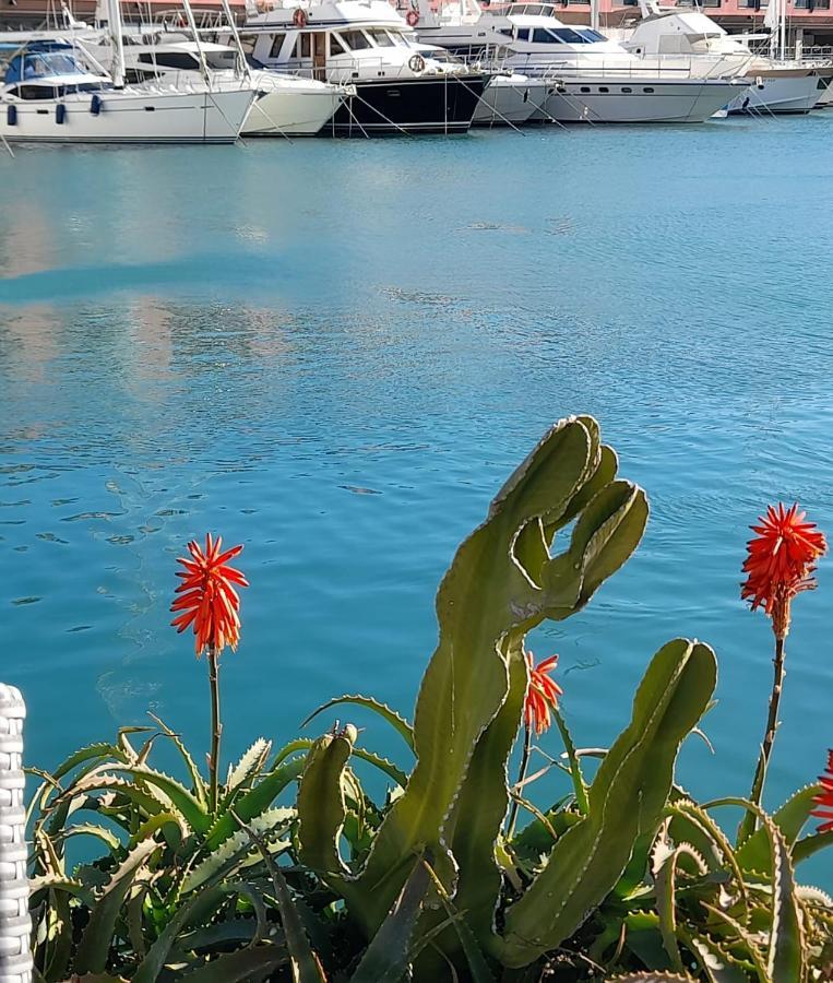 Hotel Glicine Noli Εξωτερικό φωτογραφία